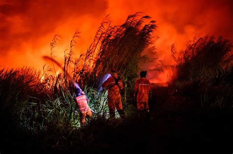 Firefighters battle peatland fires on Indonesia’s Sumatra island